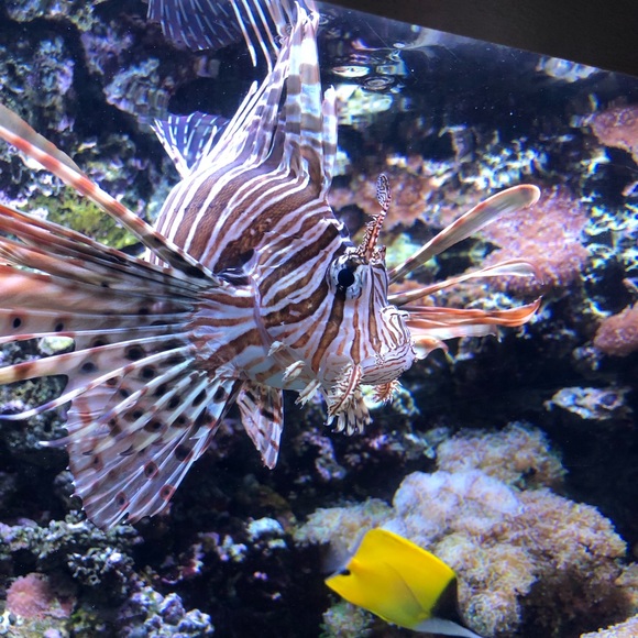 Meet your Posher, Davorka - Picture 2 of 2